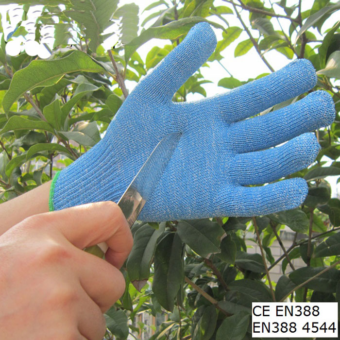 Food Industry Blue Hppe Gloves Anti Cut Kitchen Work Glove